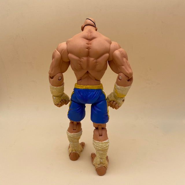Action Figure Sagat Street Fighter Capcom Sota Toys 2004 USATO