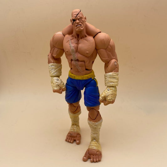 Action Figure Sagat Street Fighter Capcom Sota Toys 2004, rosa, fasciature bianche, pantaloncini blu e gialli